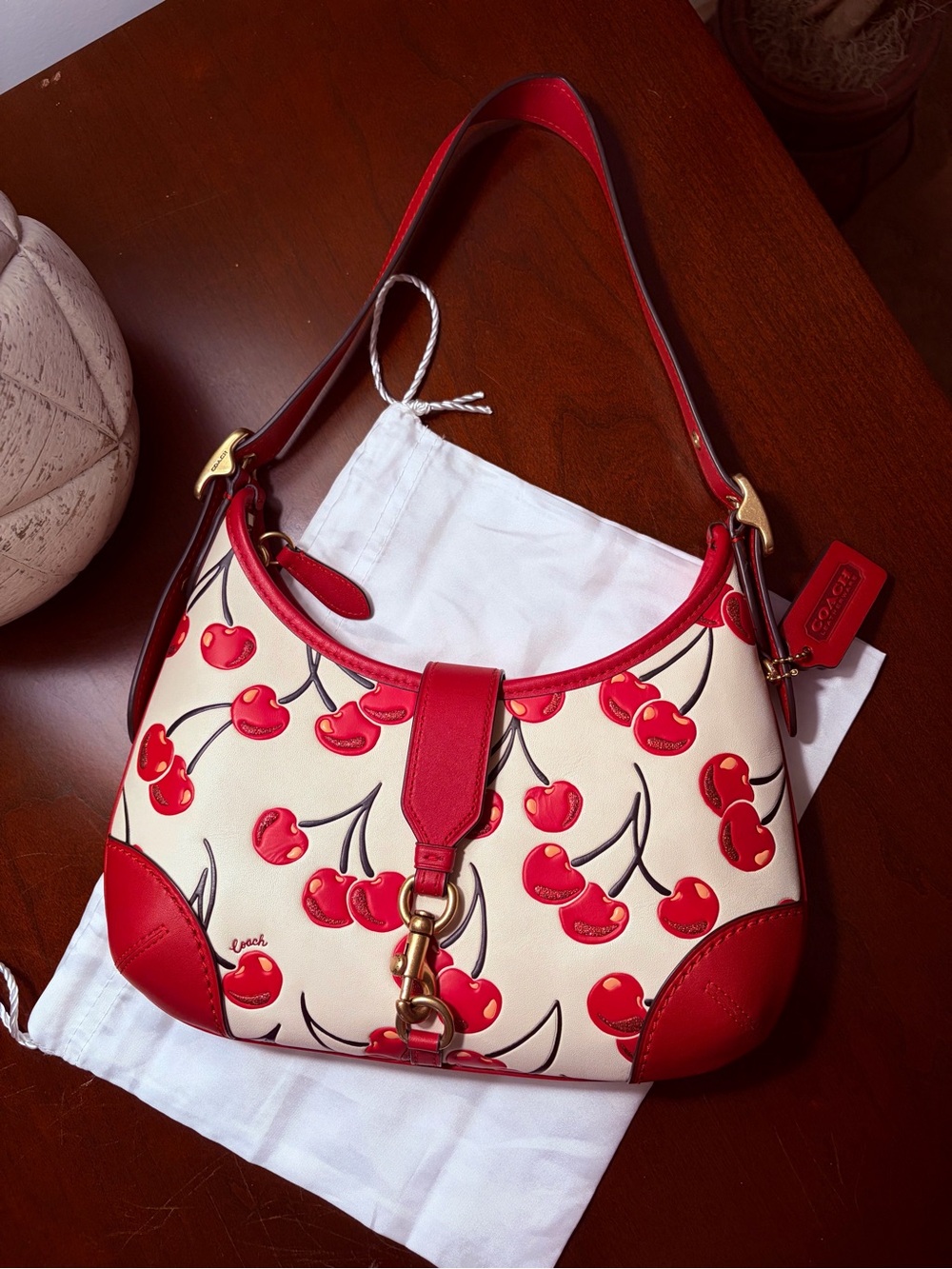 Coach Cherry Print Hampton Hobo Bag - Picture 14 of 14